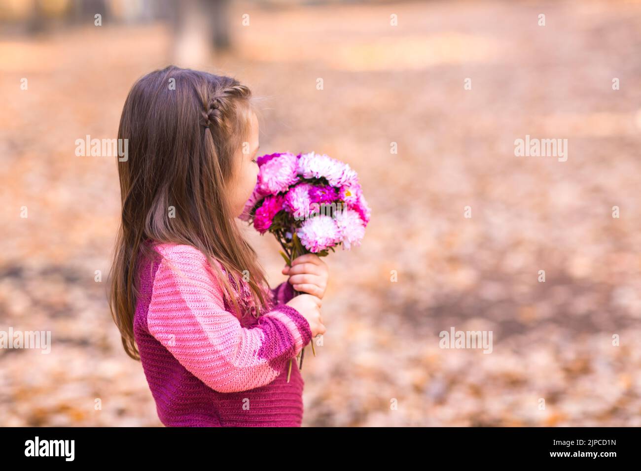 Nettes kleines Mädchen im Herbstpark mit rosa Blumenstrauß. Stockfoto