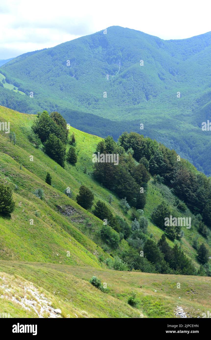 Parco Nazionale dell'Appennino Tosco-Emiliano, ein üppig bewaldeter und bergiger Nationalpark in Norditalien Stockfoto