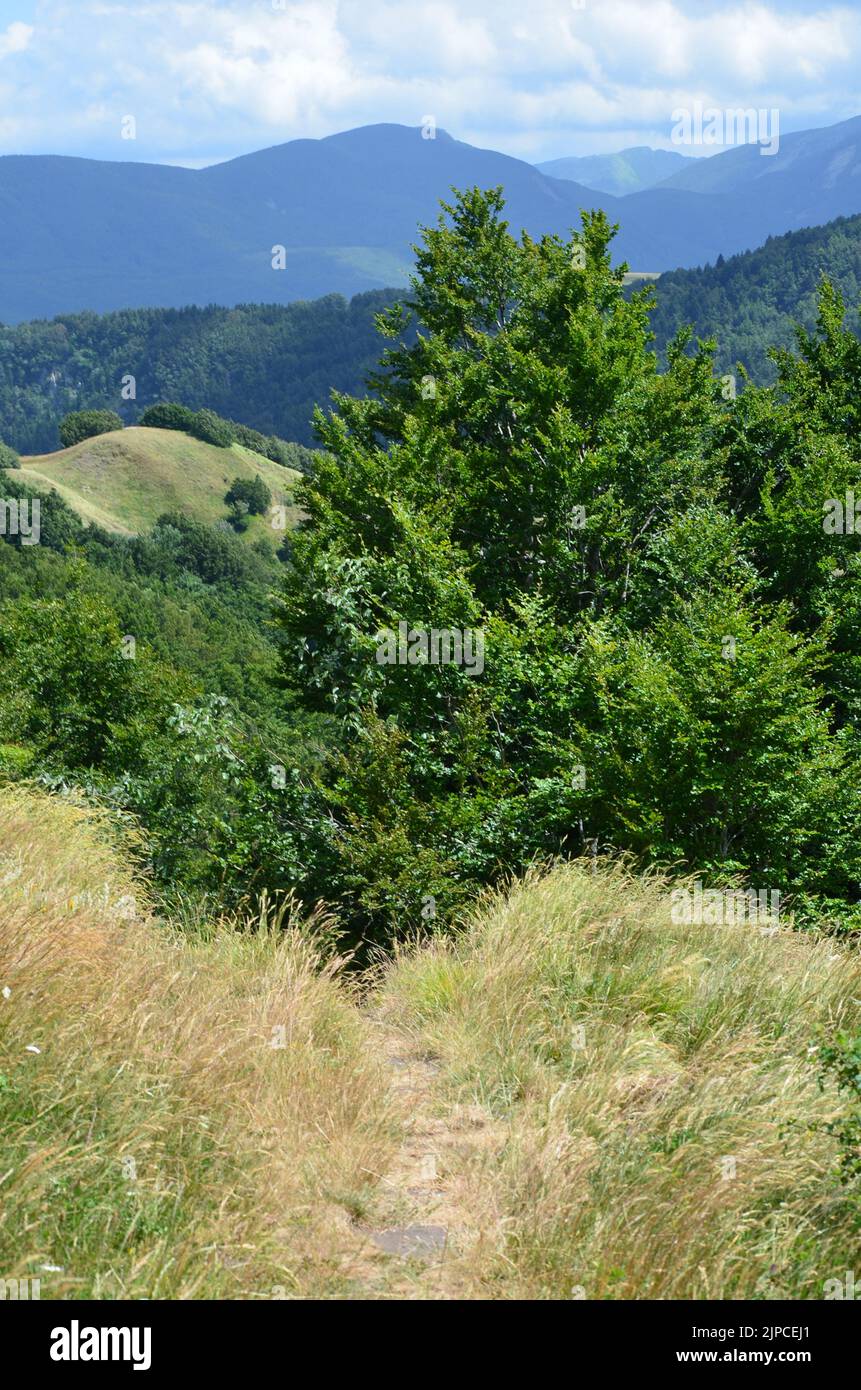 Parco Nazionale dell'Appennino Tosco-Emiliano, ein üppig bewaldeter und bergiger Nationalpark in Norditalien Stockfoto