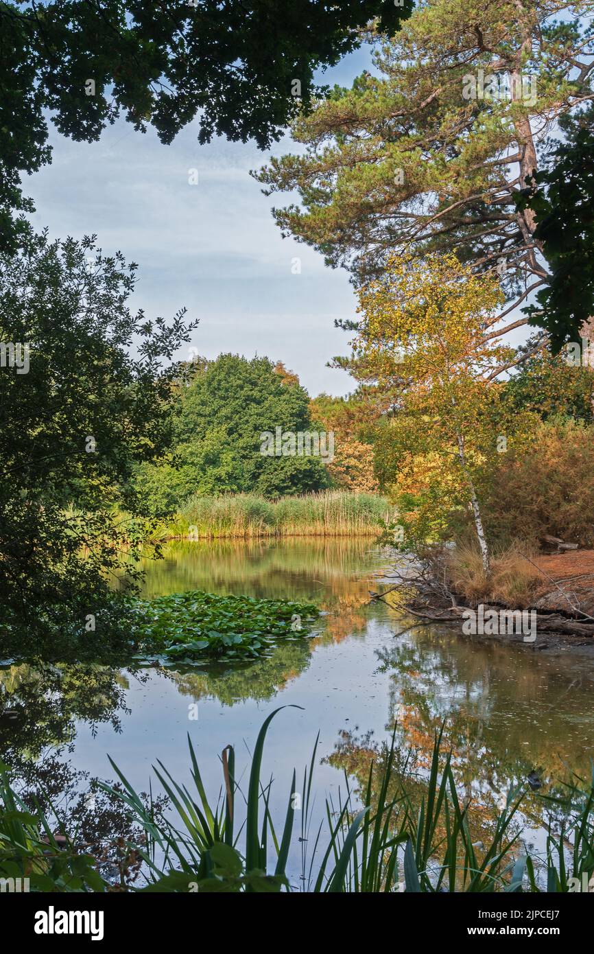 Der Ornamental Lake am Southampton Common, Southampton, Großbritannien Stockfoto