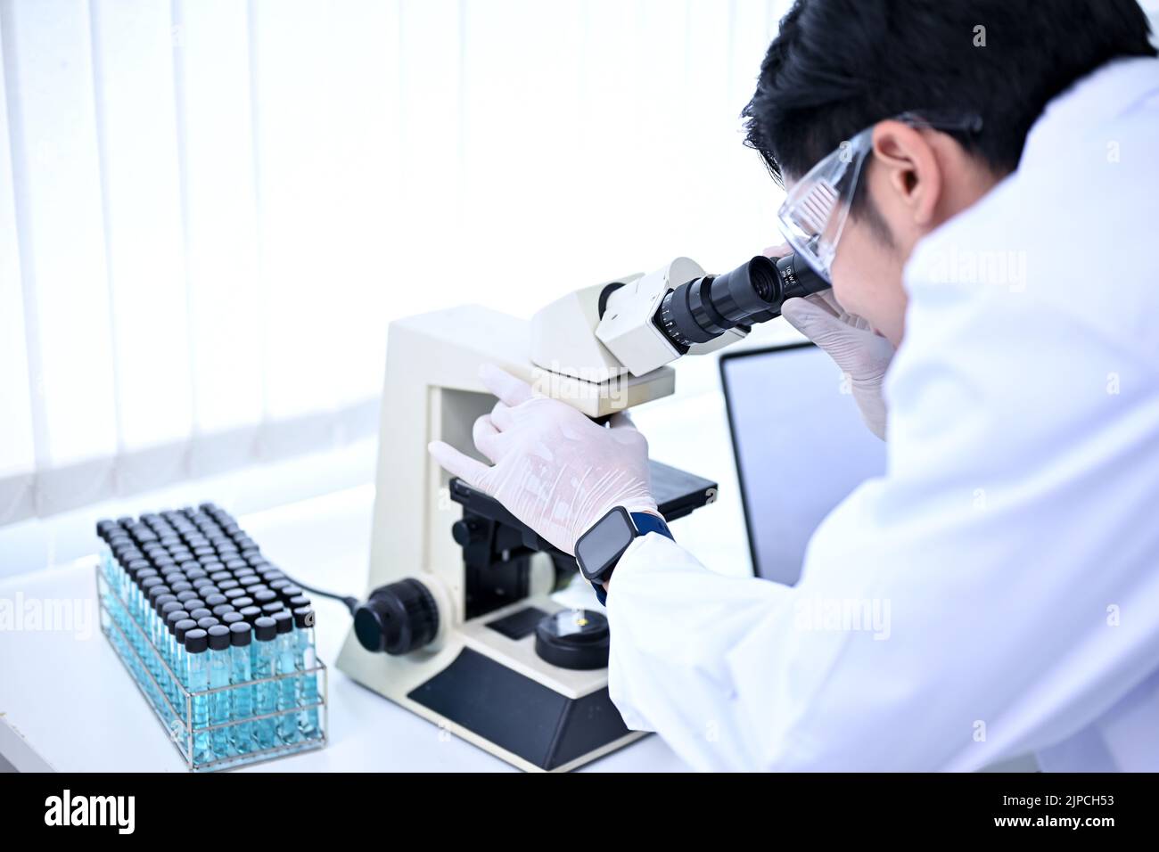 Intelligenter, tausendjähriger asiatischer Wissenschaftler, der unter dem Mikroskop untersucht und Virusproben in einer Petrischale testet und analysiert. Pharmakologie, Pharmazie konz Stockfoto