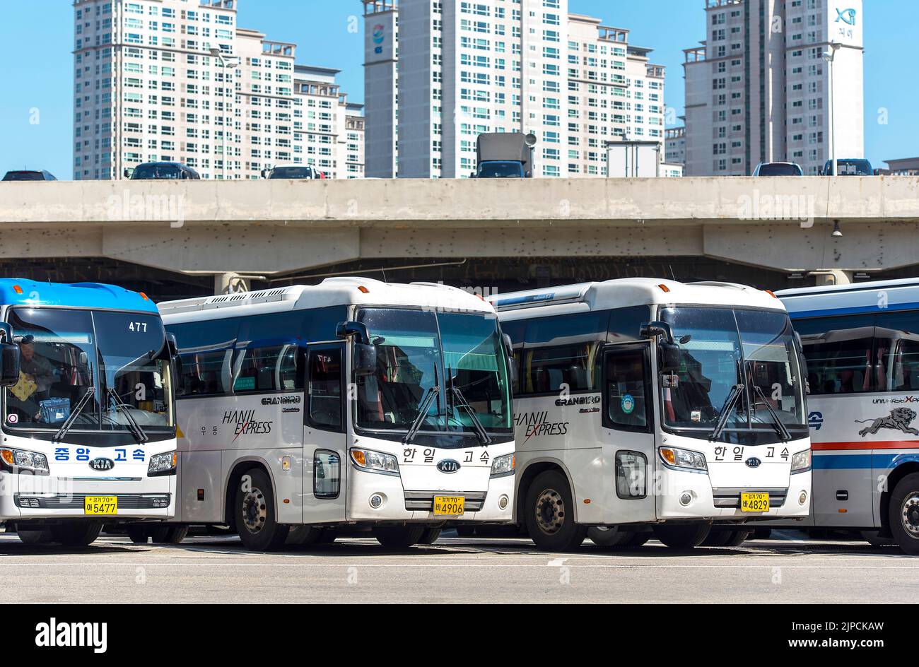 SEOUL - Okt 10: Busse mit Hanil Express-Logo am Busbahnhof in Seoul, Oktober 10. 2016 in Südkorea. Stockfoto
