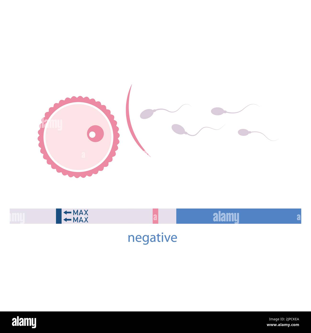 Negativer Schwangerschaftstest Empfängnisverhütung Eizelle und Spermien Stock Vektor