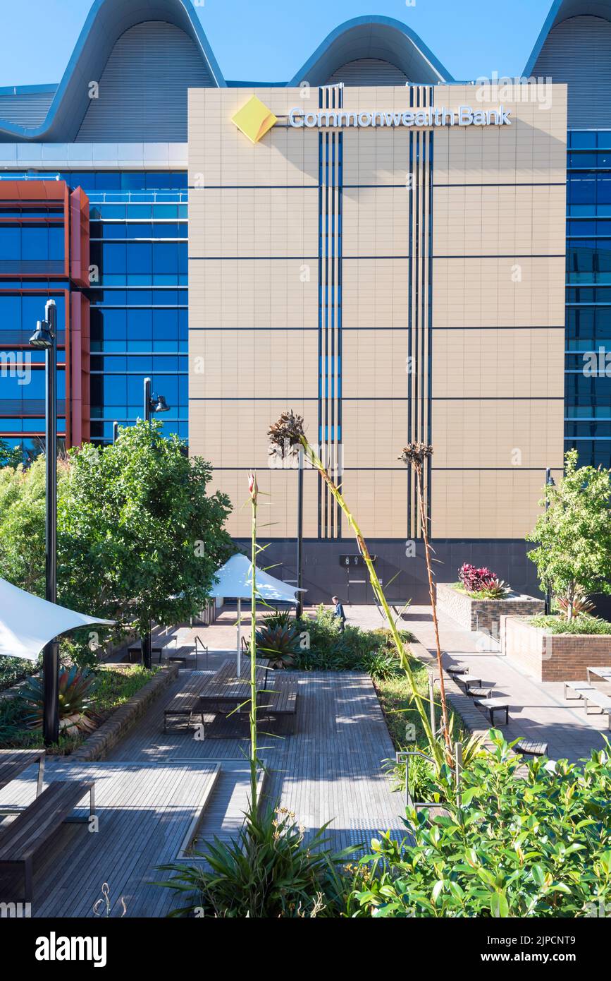 Die im Campus-Stil gestalteten Büros der Commonwealth Bank in South Eveleigh, Sydney, sind nach den nahe gelegenen alten Lokomotivwerkstätten als The Foundry bekannt Stockfoto