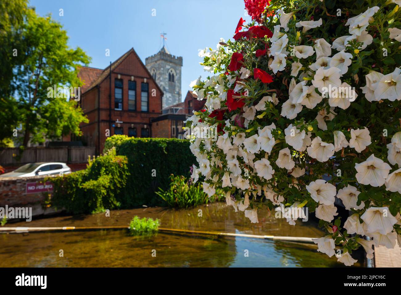 Blumen bei den Maltings in Salisbury, Wiltshire, England. Stockfoto