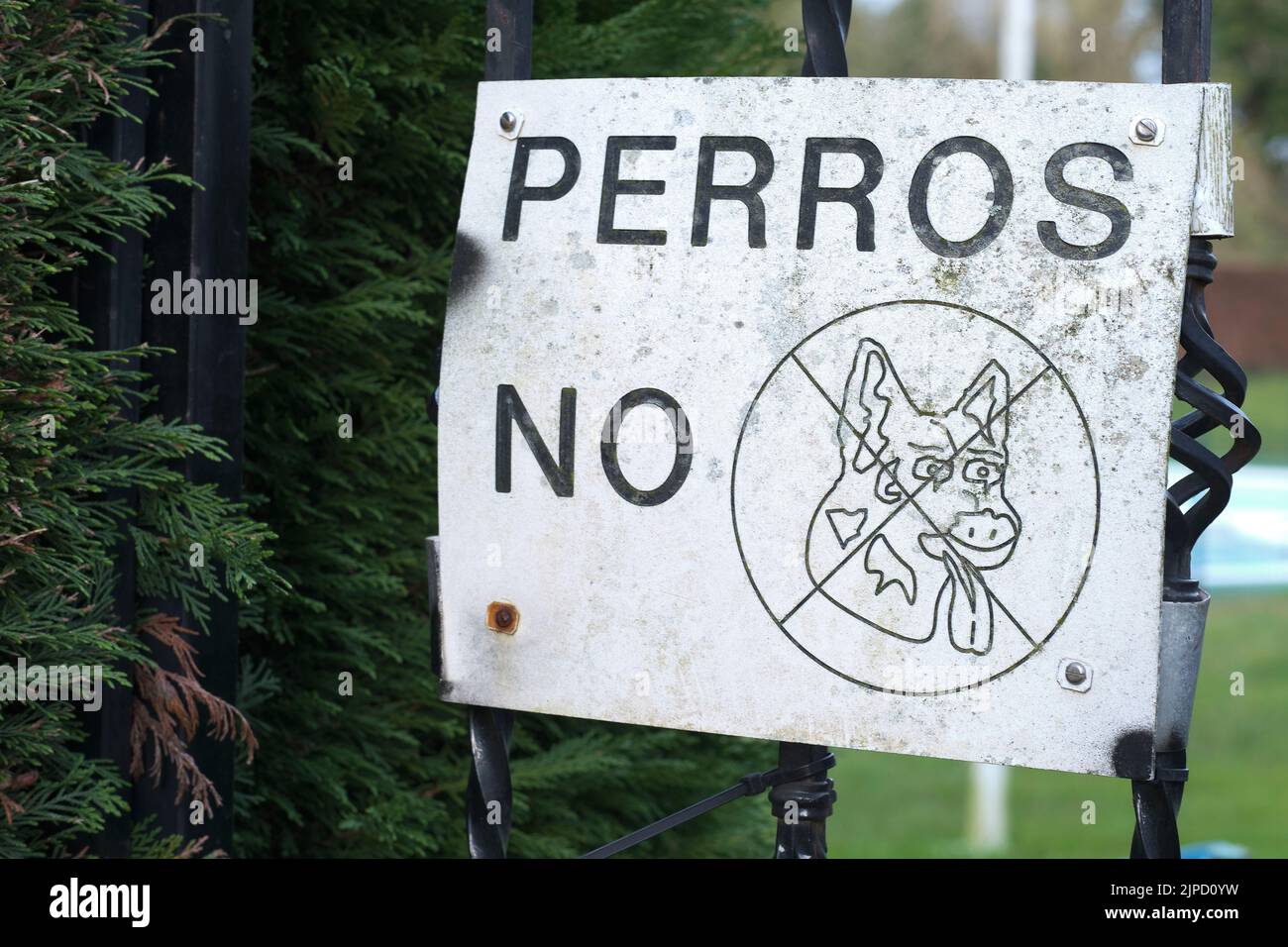 Keine Hunde erlaubt Schild. Stockfoto