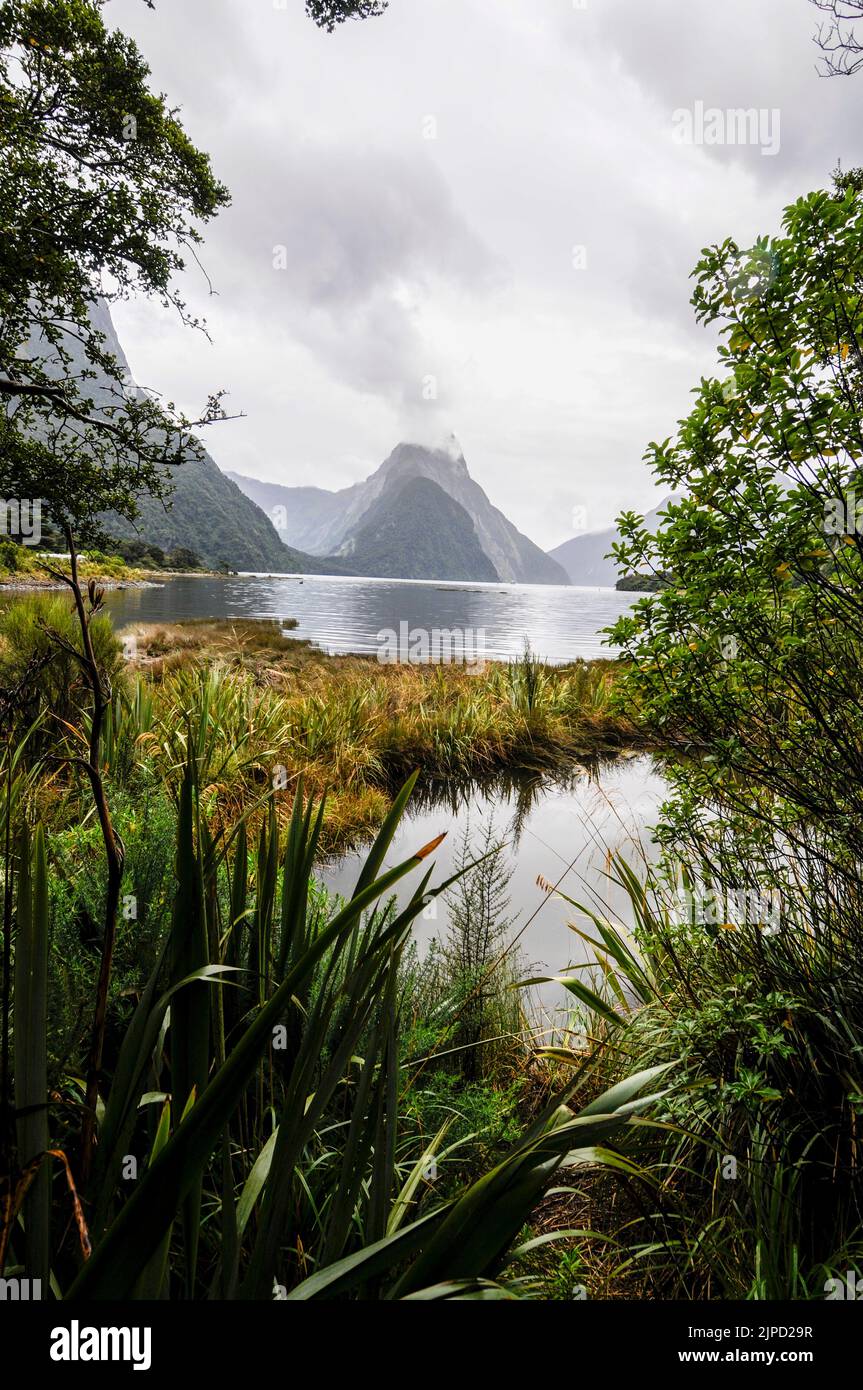 Die niedrige Wolke hängt über dem Gipfel des Mitra Peak, einem pyramidenförmigen Berg am Milford Sound im Fiordland National Park auf South Island, Neuseeland. Stockfoto