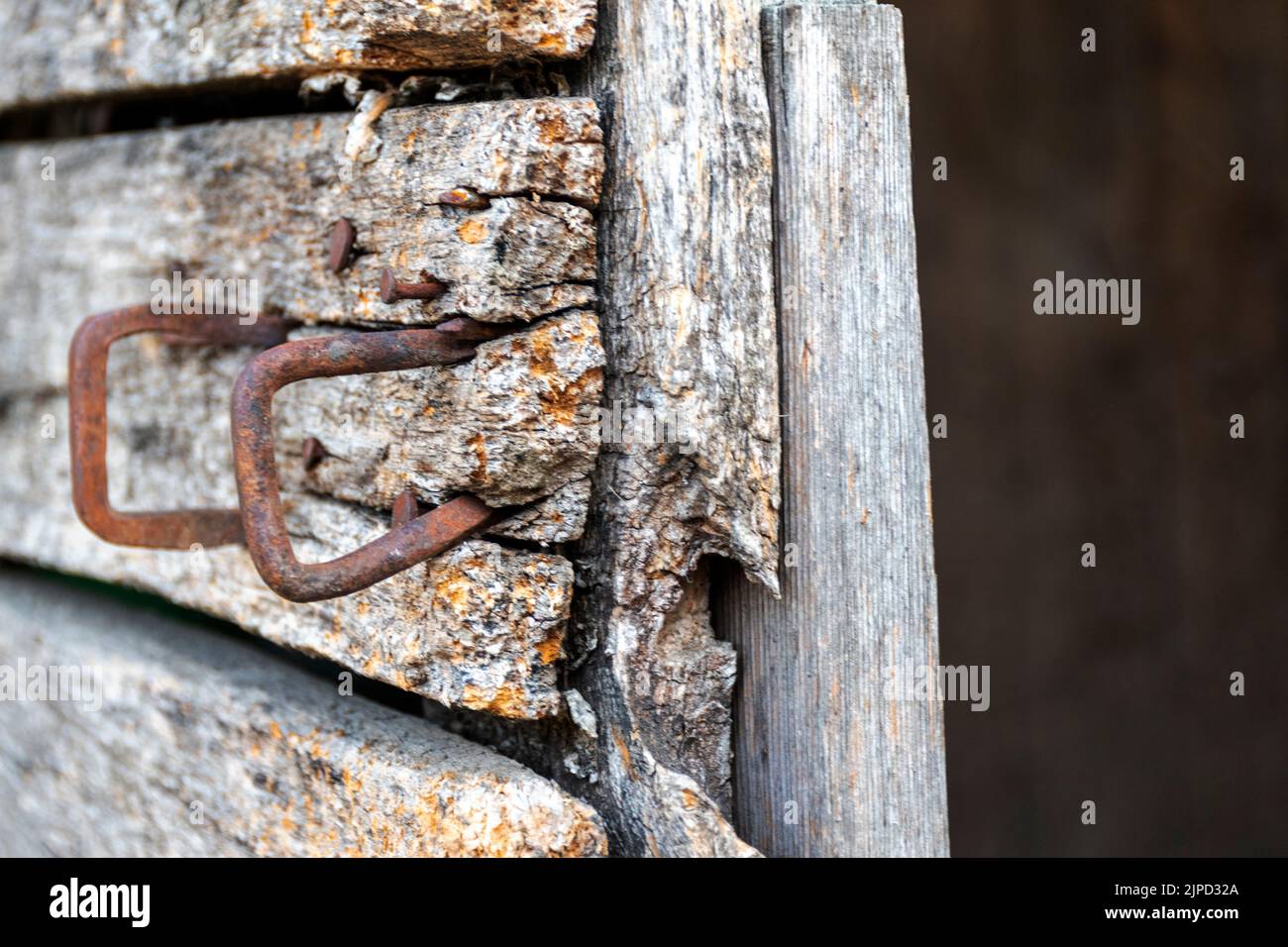 Alte Tür aus der Nähe Stockfoto