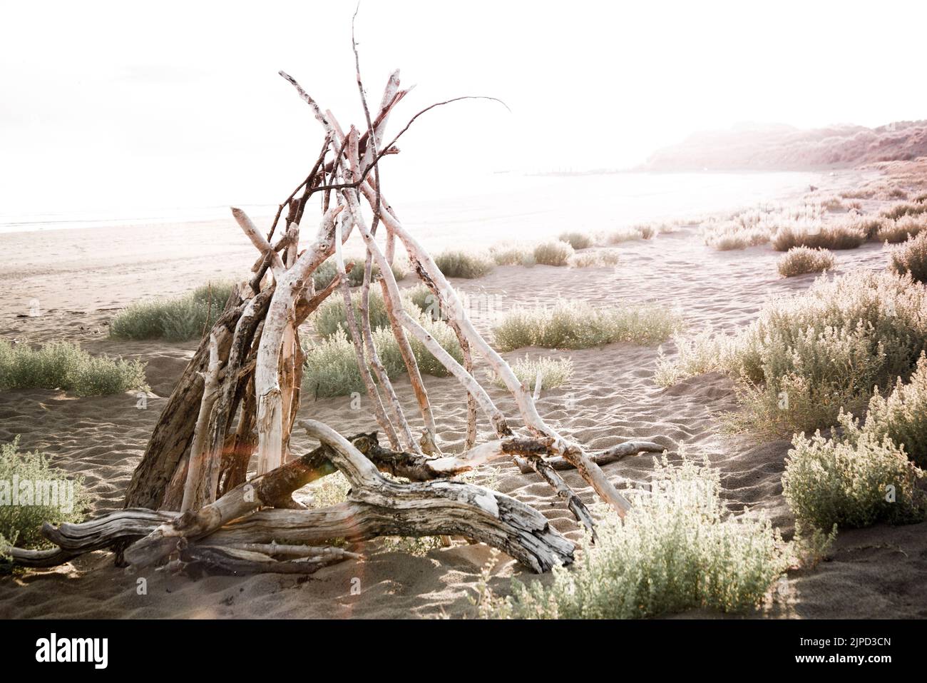 Hölzerne Festung aus Treibholz an der Atlantikküste, Devon UK Stockfoto