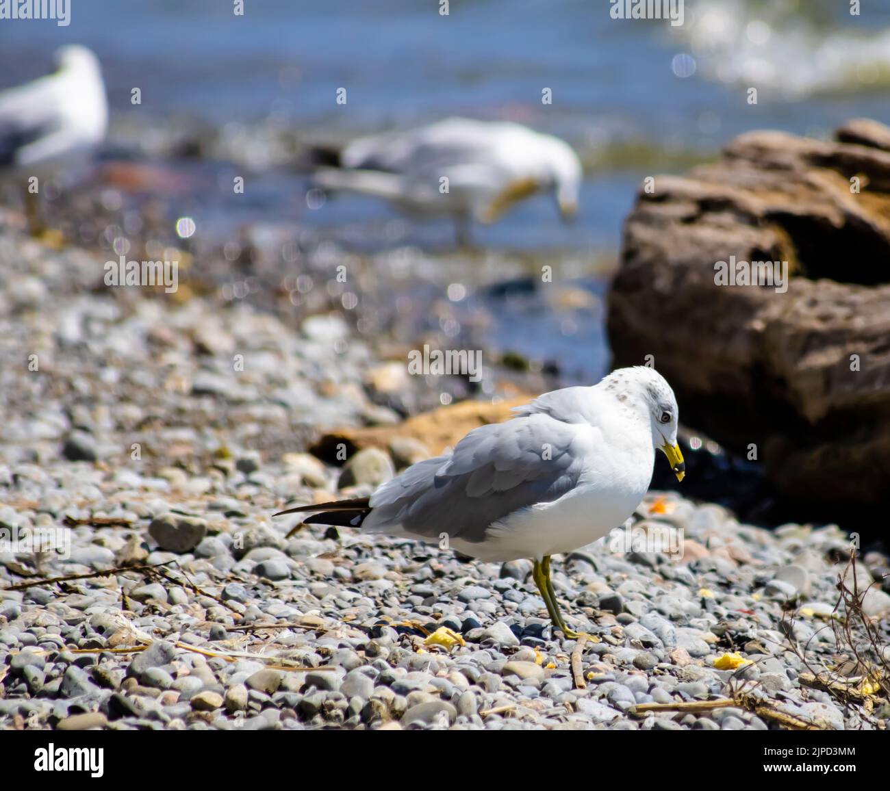 Traurig und allein Stockfoto
