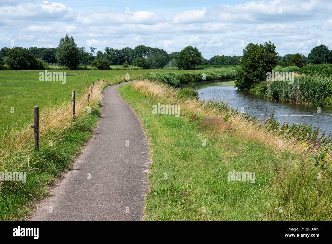 Grünes Naturschutzgebiet mit Wasserpflanzen am Fluss Mark, Breda, Niederlande Stockfoto