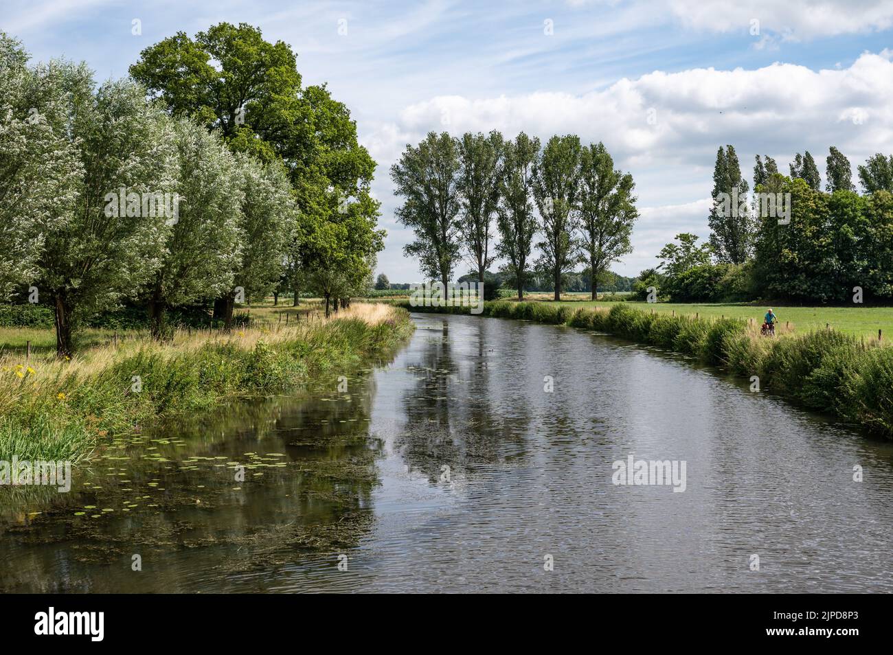 Breda, Nordbrabant, Niederlande, 08 09 2022 - Grünes Naturschutzgebiet mit Wasserpflanzen am Fluss Mark Stockfoto