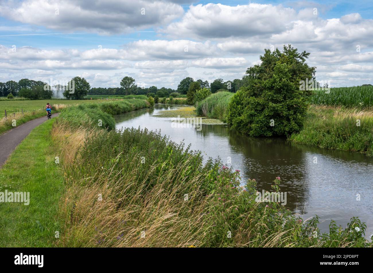 Breda, Nordbrabant, Niederlande, 08 09 2022 - Grünes Naturschutzgebiet mit Wasserpflanzen am Fluss Mark Stockfoto