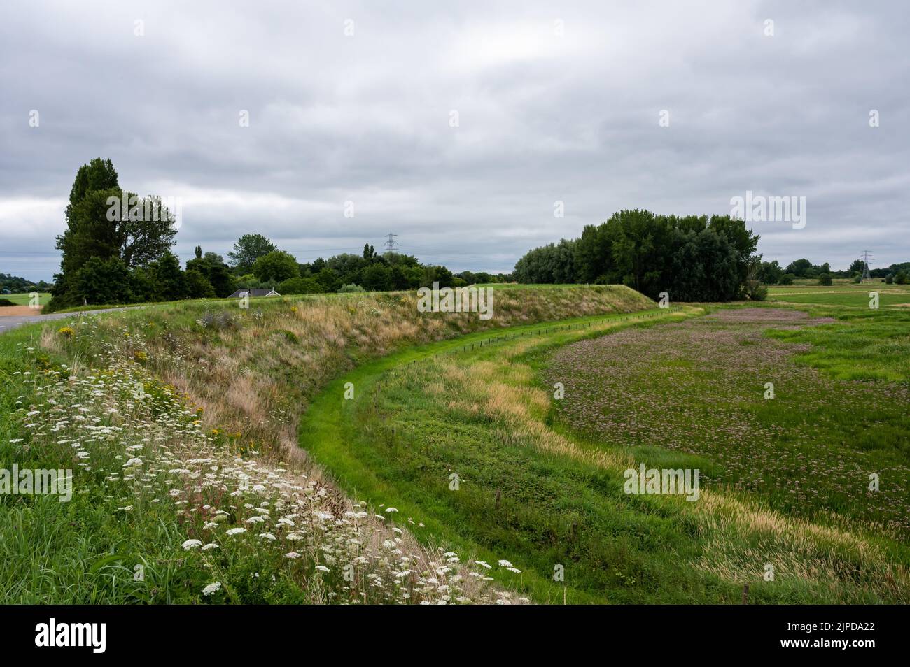 Blick über die natürliche Aue mit Landwirtschaftsfeld und Feuchtgebiet rund um Ochten, Niederlande Stockfoto