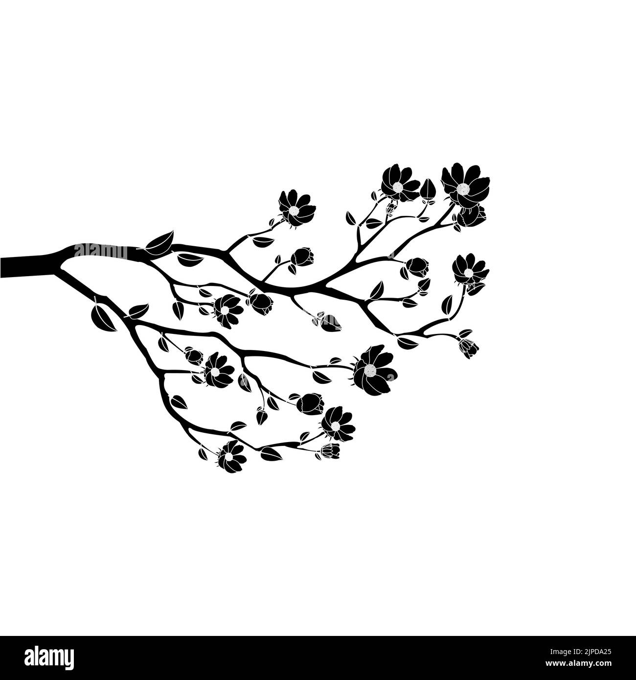Ein Zweig mit Blumen in schwarzer Farbe isoliert auf weißem Hintergrund Stock Vektor