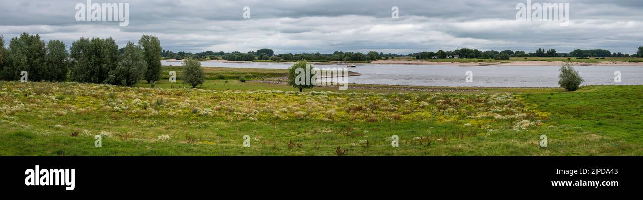 Landschaftsansicht über die natürliche Aue des Flusses Waal, Dodewaard, Niederlande Stockfoto