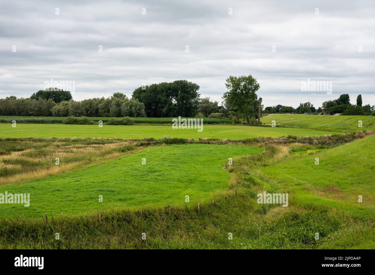 Grüne Hügel und Wiesen an den Feuchtgebieten in der natürlichen Überschwemmungszone um Passewaaij, Niederlande Stockfoto