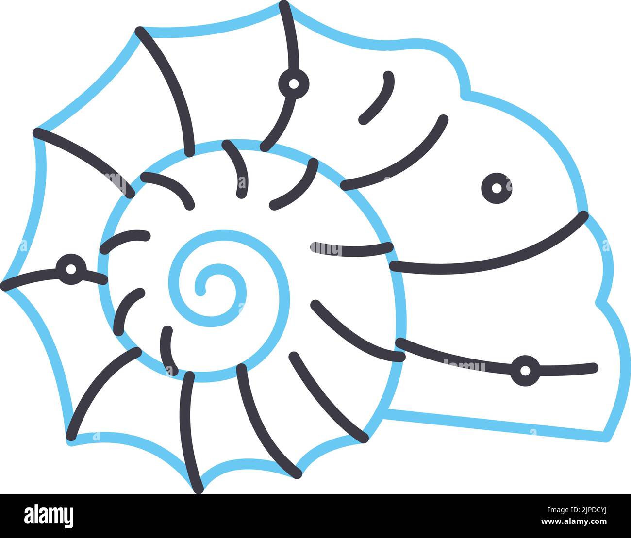 Symbol für spiralförmige Schalenlinie, Umrisssymbol, Vektordarstellung, Konzeptzeichen Stock Vektor