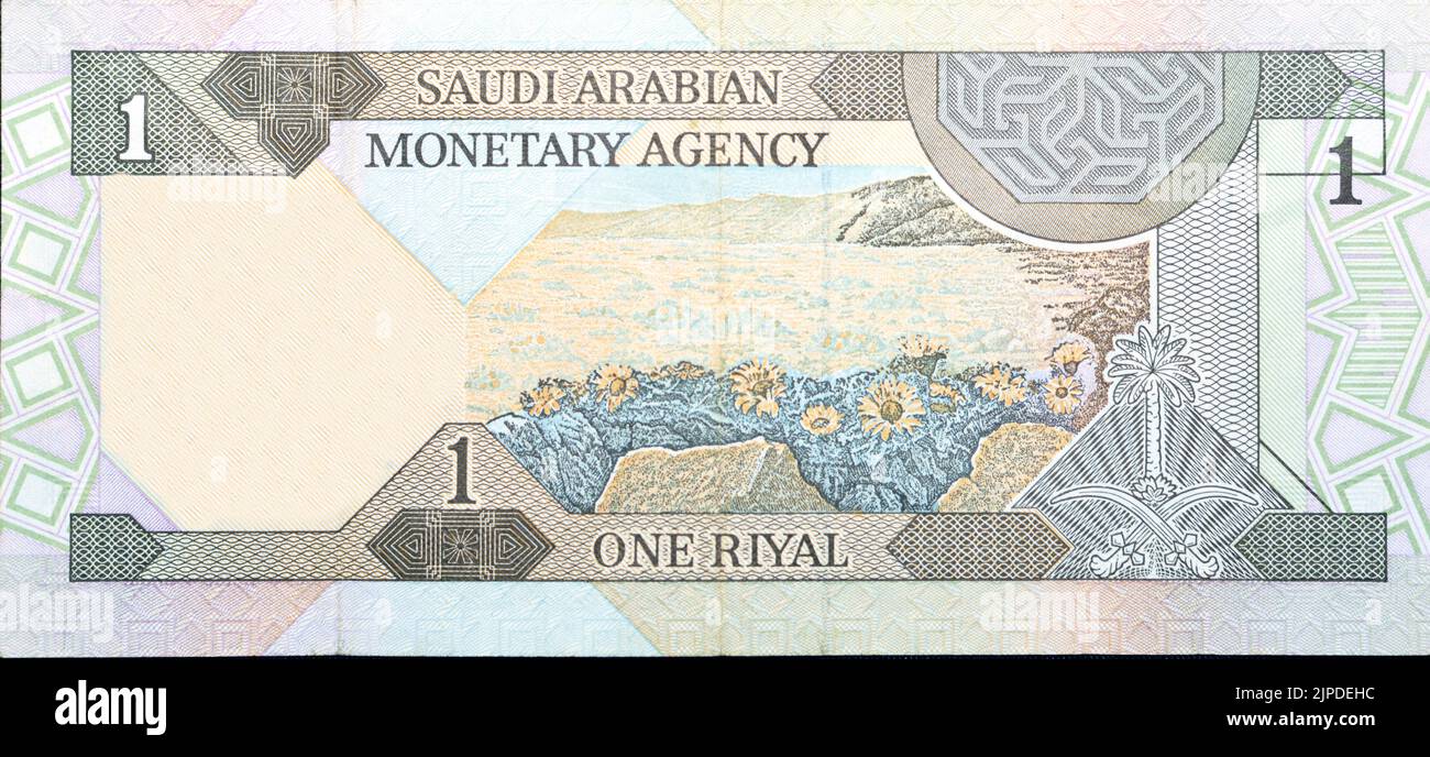 Großes Fragment der Rückseite von 1 eine Saudi-arabische riyal Geldscheinrechnung, die eine natürliche Szene von Wüstenblumen zeigt, selektiver Fokus o Stockfoto