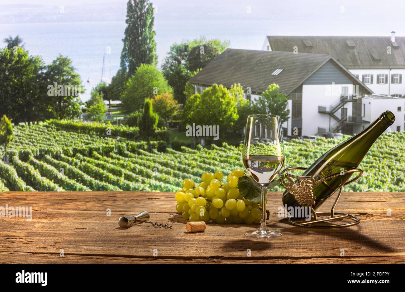 Flasche und ein Glas köstlicher Weißwein stehen auf einem Holztisch auf einer wunderschönen Landschaft mit grünem Garten und Weinberg Stockfoto