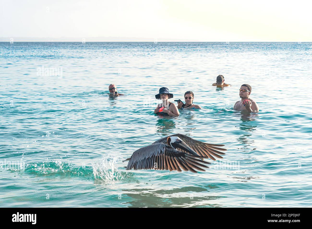 Aguadilla, Puerto Rico 27. August 2021 Eine Menge Schwimmer sind