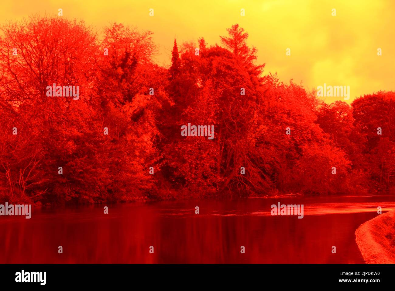 Herbstfarben am Wehr, River Nore, River Nore Linear Park, Riverside Walk, Kilkenny, Irland Stockfoto