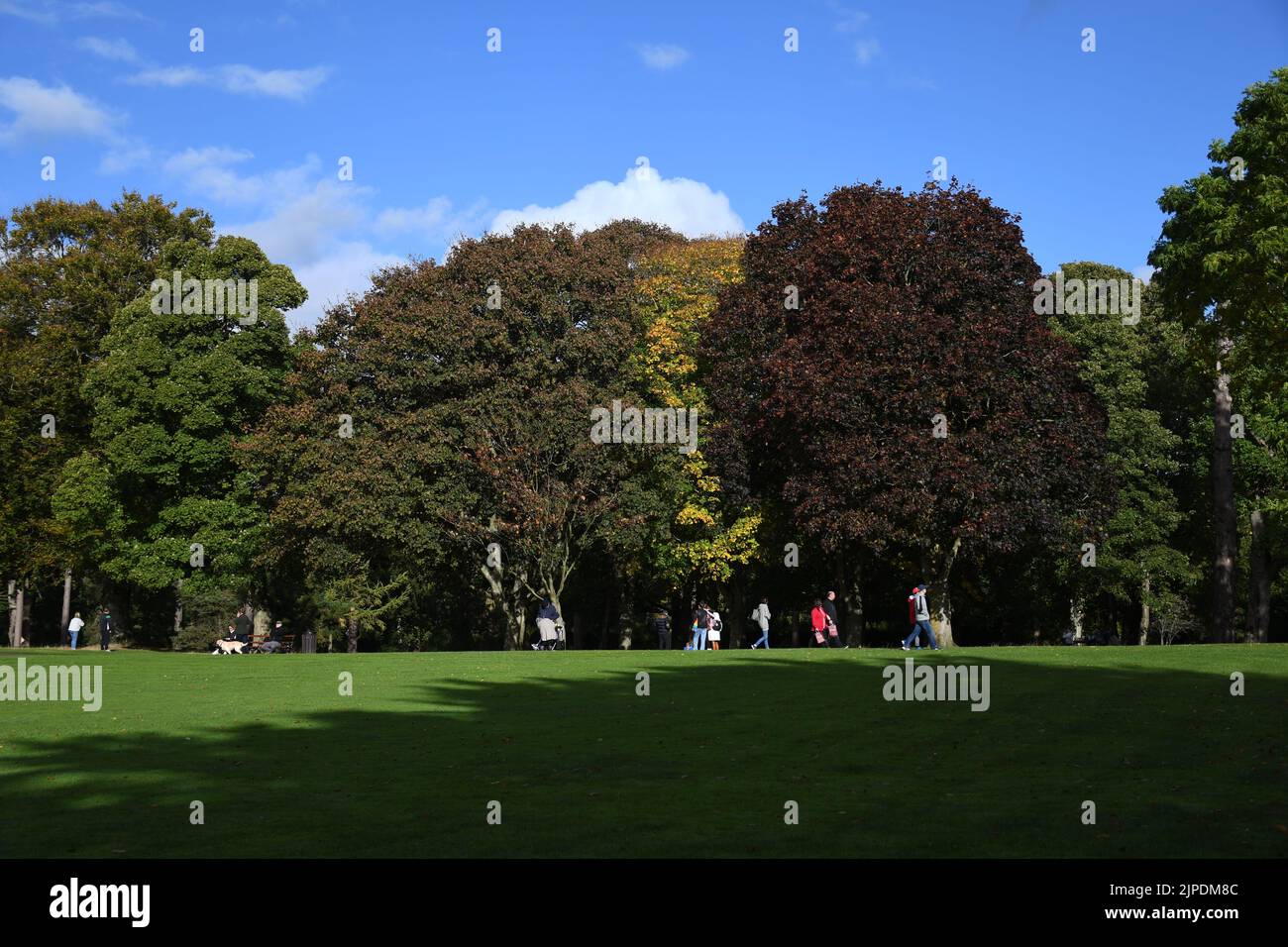Herbst im Kilkenny Castle Park, Kilkenny, Irland Stockfoto