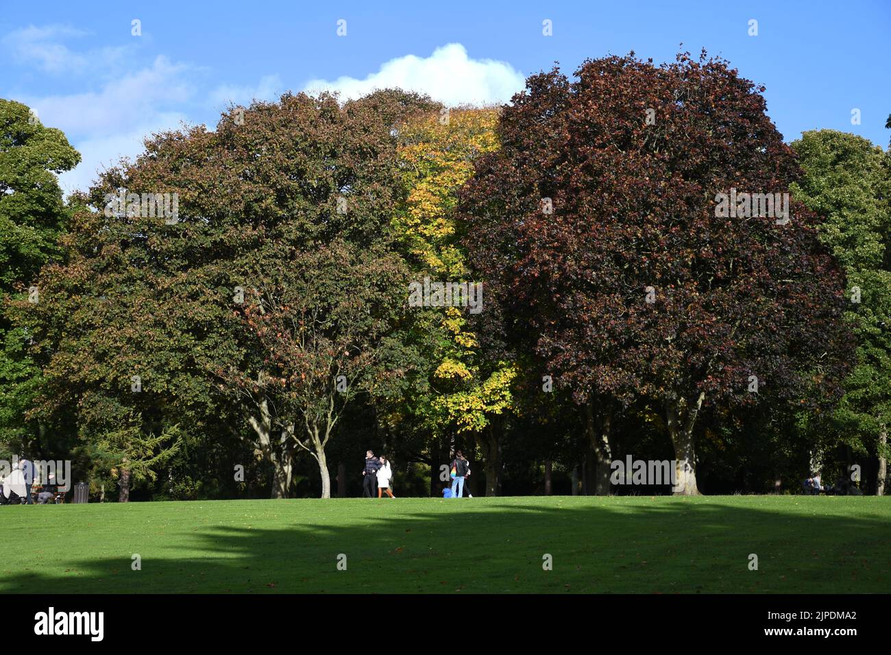 Herbst im Kilkenny Castle Park, Kilkenny, Irland Stockfoto