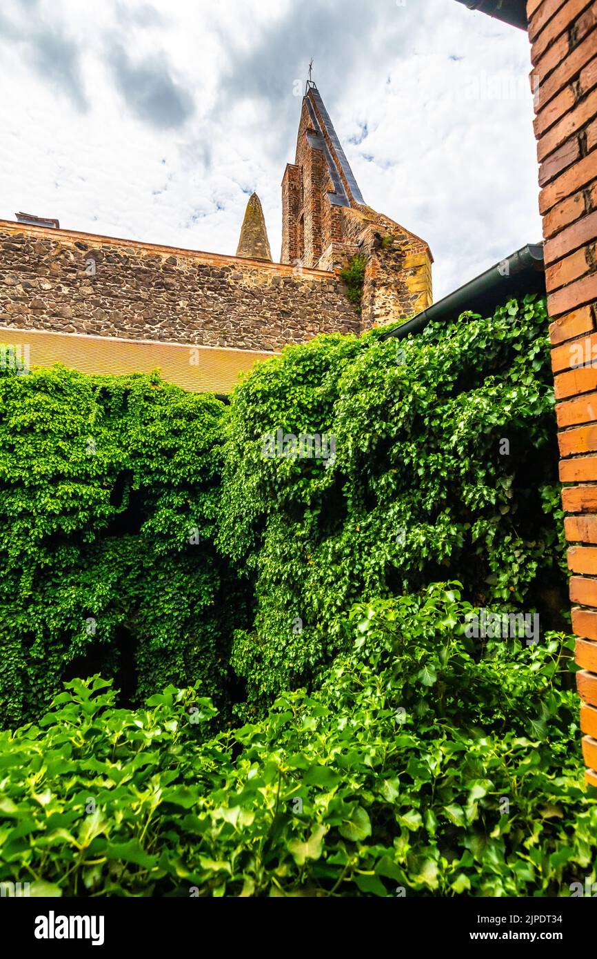 Das Rosa-Coeli-Kloster. Alte katholische Ruine des Frauenklosters in der Nähe der Stadt Dolni Kounice. Religion gotischer Ort mit spiritueller Geschichte aus gebaut Stockfoto