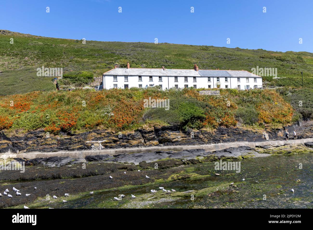 Reihe von malerischen Reihenhäusern im Fischerdorf Boscastle in Cornwall Stockfoto