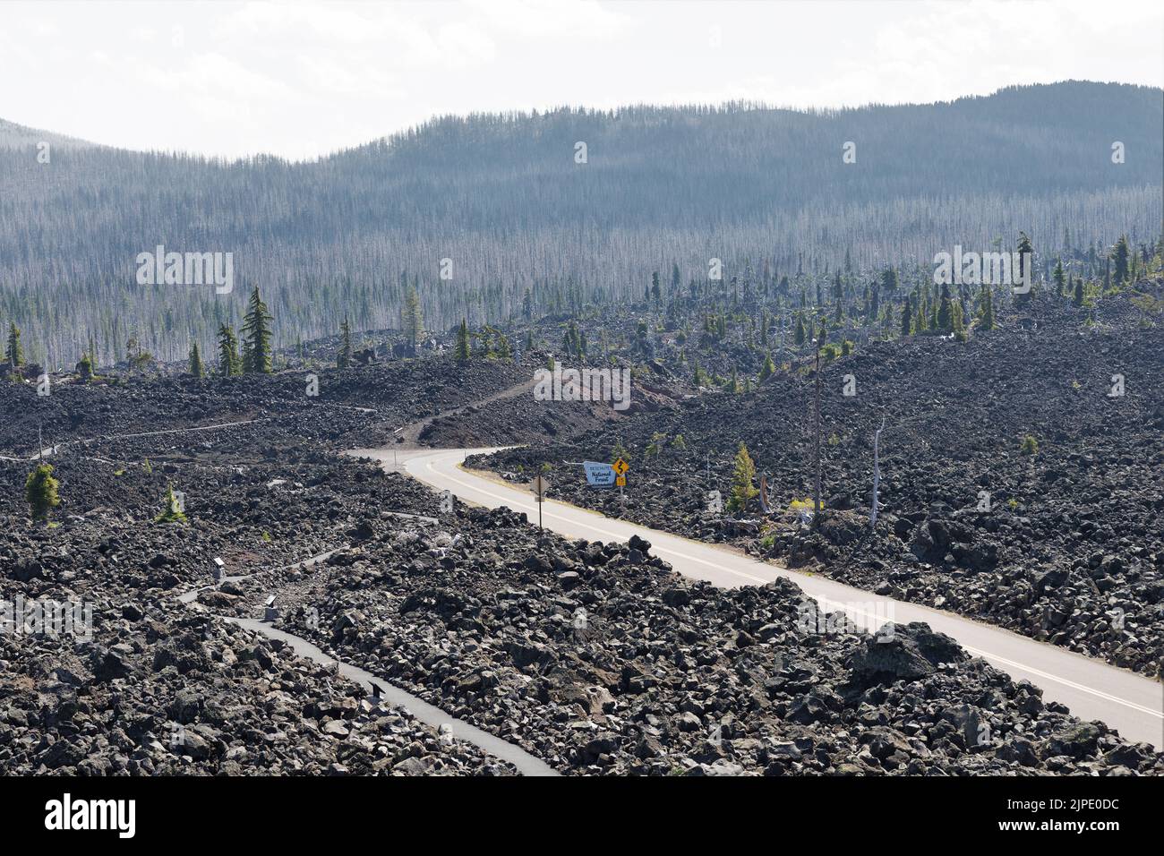 Der Highway 242 führt durch das entsetzliche Gelände des Lavastroms auf dem Gipfel des McKenzie-Passes in den Cascade Mountains in Oregon, USA. Stockfoto