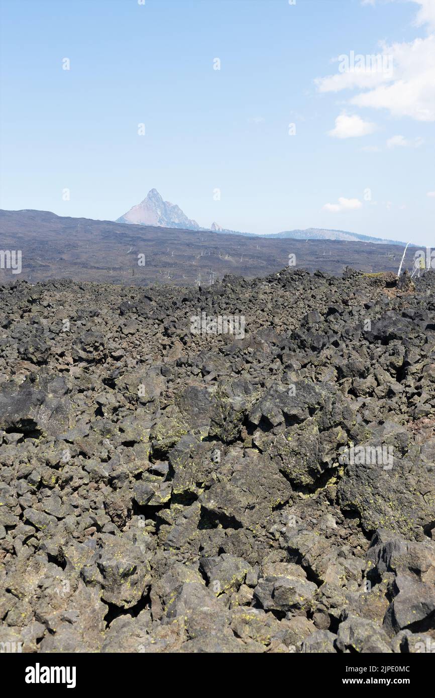 Felsiges Gelände aus dem Lavastrom auf dem Gipfel des McKenzie-Passes in den Cascade Mountains in Oregon, USA. Stockfoto