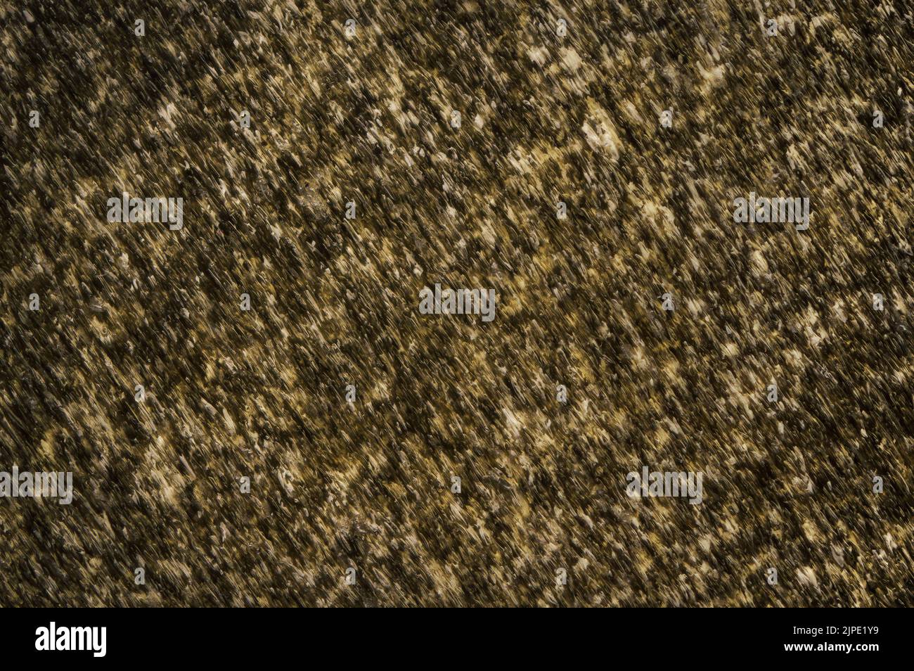 Ultramakroresisches Glanzobsidian (Gold/Gelb) in Nahaufnahme. Textur Detail Halbedelstein Hintergrund mineralischen Stein/Stein Stockfoto