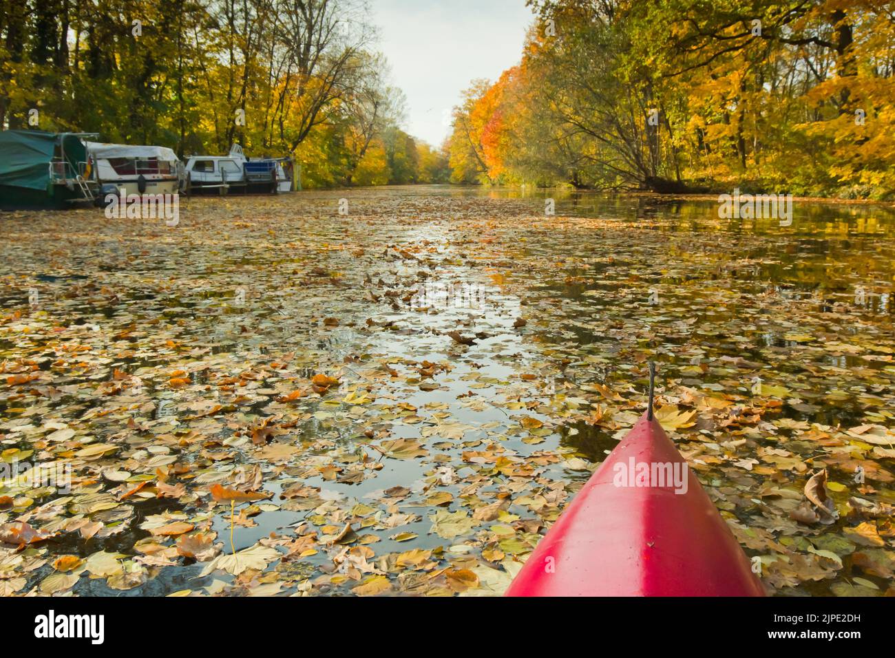 Herbst, Fluss, Ausflug, Kanu, Fall, Flüsse, Ausflüge, Ausflug, Ausflüge, Kanus, Kanutieren Stockfoto