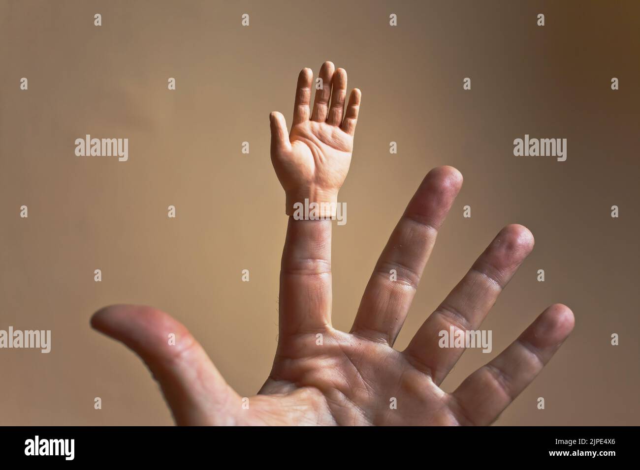 Hand, Puppenhand, Verdopplung, Hände, Puppenhände Stockfoto