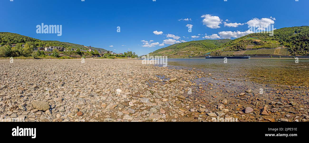 Panoramabild über den halbgetrockneten Rhein mit Lastkahn im Navigationskanal Stockfoto