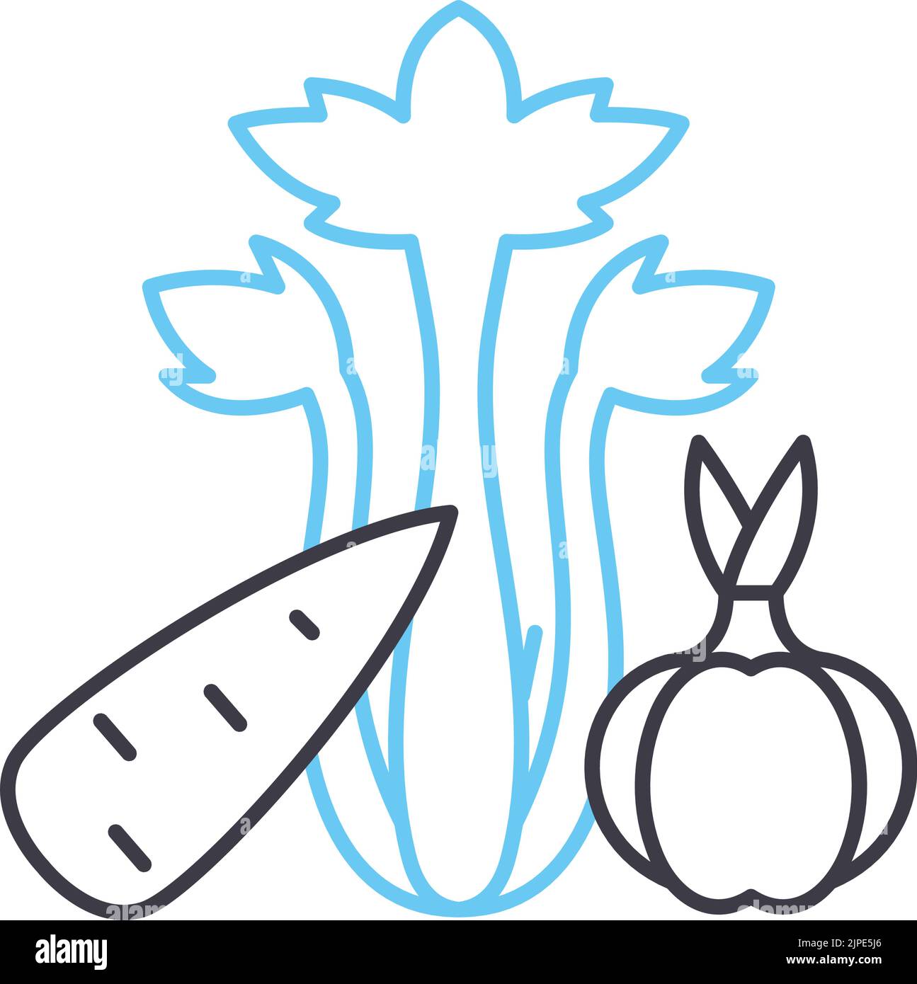 onion.carrot, Sellerie-Linie Symbol, Umriss Symbol, Vektor-Illustration, Konzept Zeichen Stock Vektor