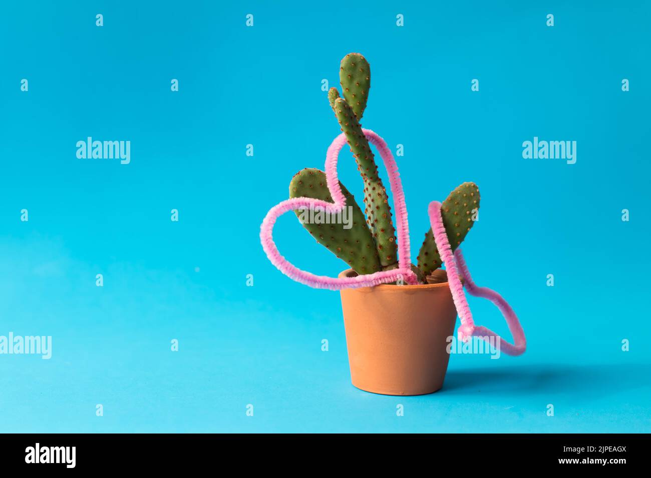 Kaktus, Mini-Kaktus in irdenen Topf isoliert auf blauem Hintergrund. Keine Menschen, niemand. Platz zum Kopieren, Platz für Text. Stockfoto