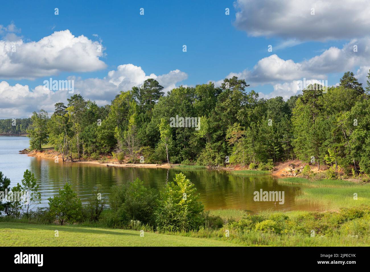 Wunderschöner Kerr Lake in Virginia, USA. Von Menschen gemachter See, gesäumt von Sandstränden, umgeben von Wäldern. Entstanden durch das Stauen des Flusses Dan. Stockfoto