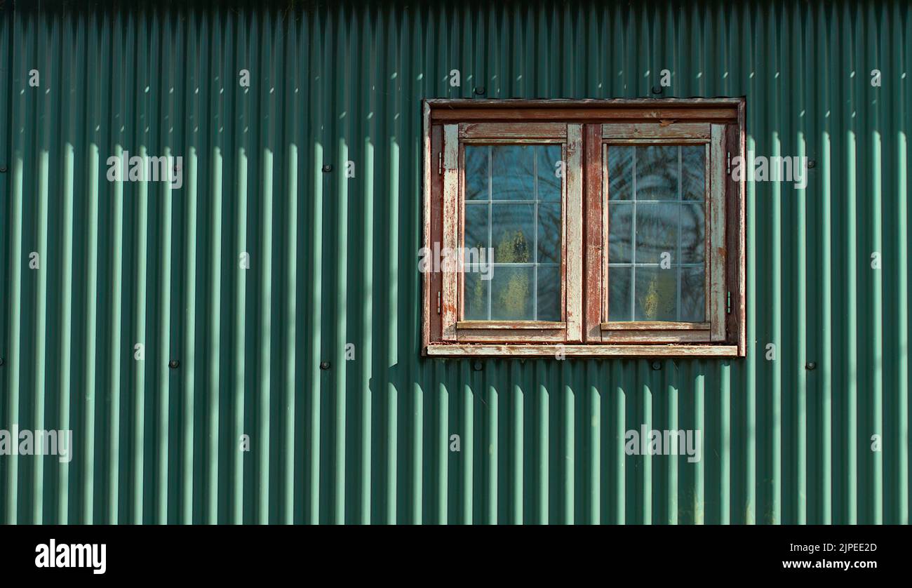 Holzfenster an der Seite Einer Hütte mit Welleisen-Schäferhunden, New Forest UK Stockfoto