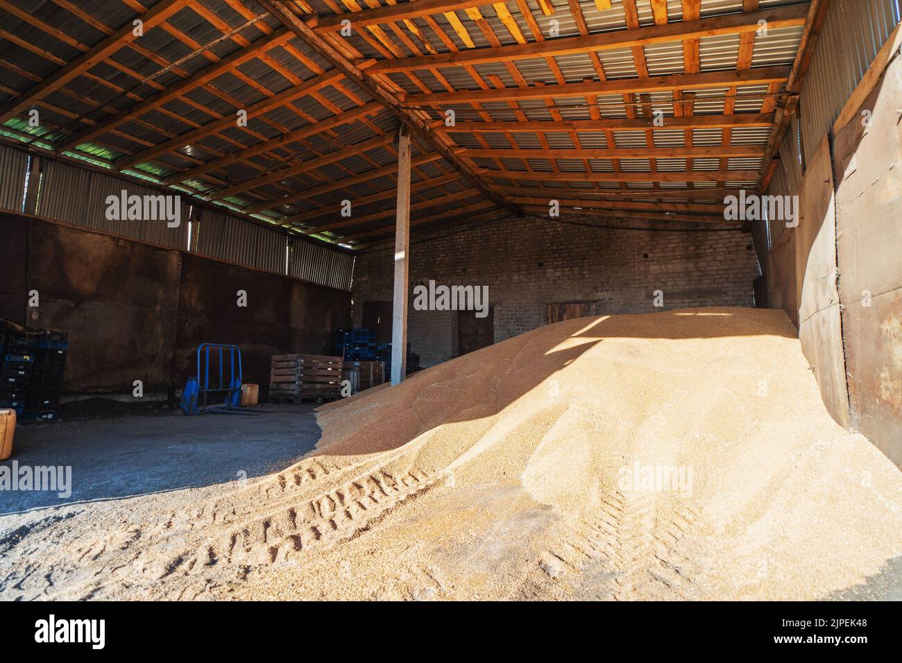 Getreide im Lagerhaus Kornspeicher innen mit einem Haufen rohen Weizens. Landwirtschaft. Stockfoto