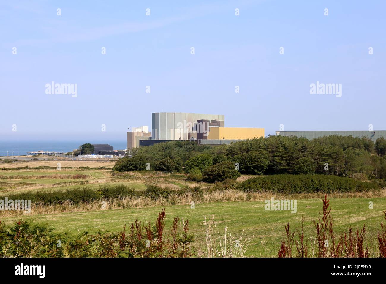 Kernkraftwerk in Wales, Großbritannien. Saubere Energie von giftigen? Stockfoto