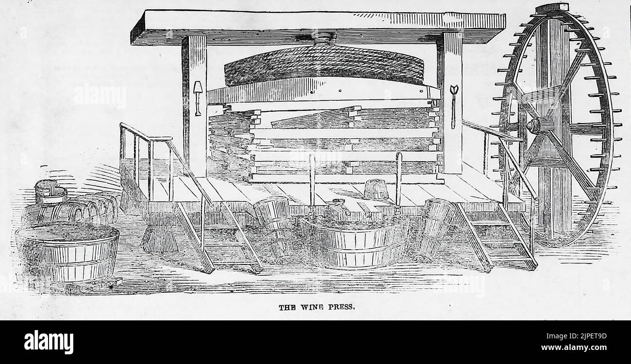 Eine Weinpresse aus der französischen Champagne (1860). Champagnerhaus Heidsieck und Co. Illustration aus Frank Leslie's Illustrated Newspaper Stockfoto