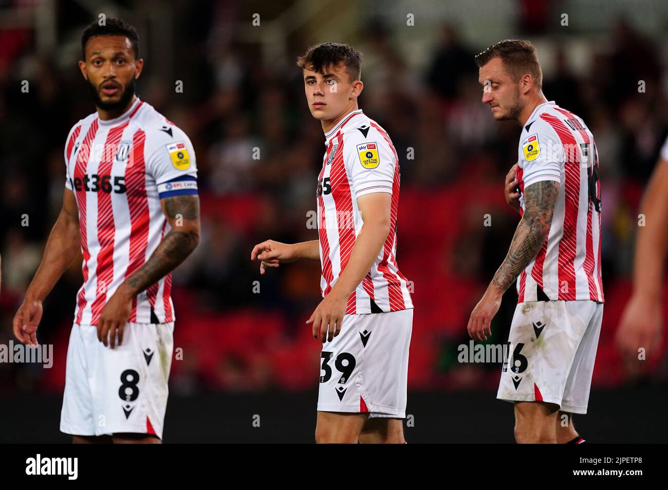 Tom sparrow Fotos und Bildmaterial in hoher Auflösung Alamy