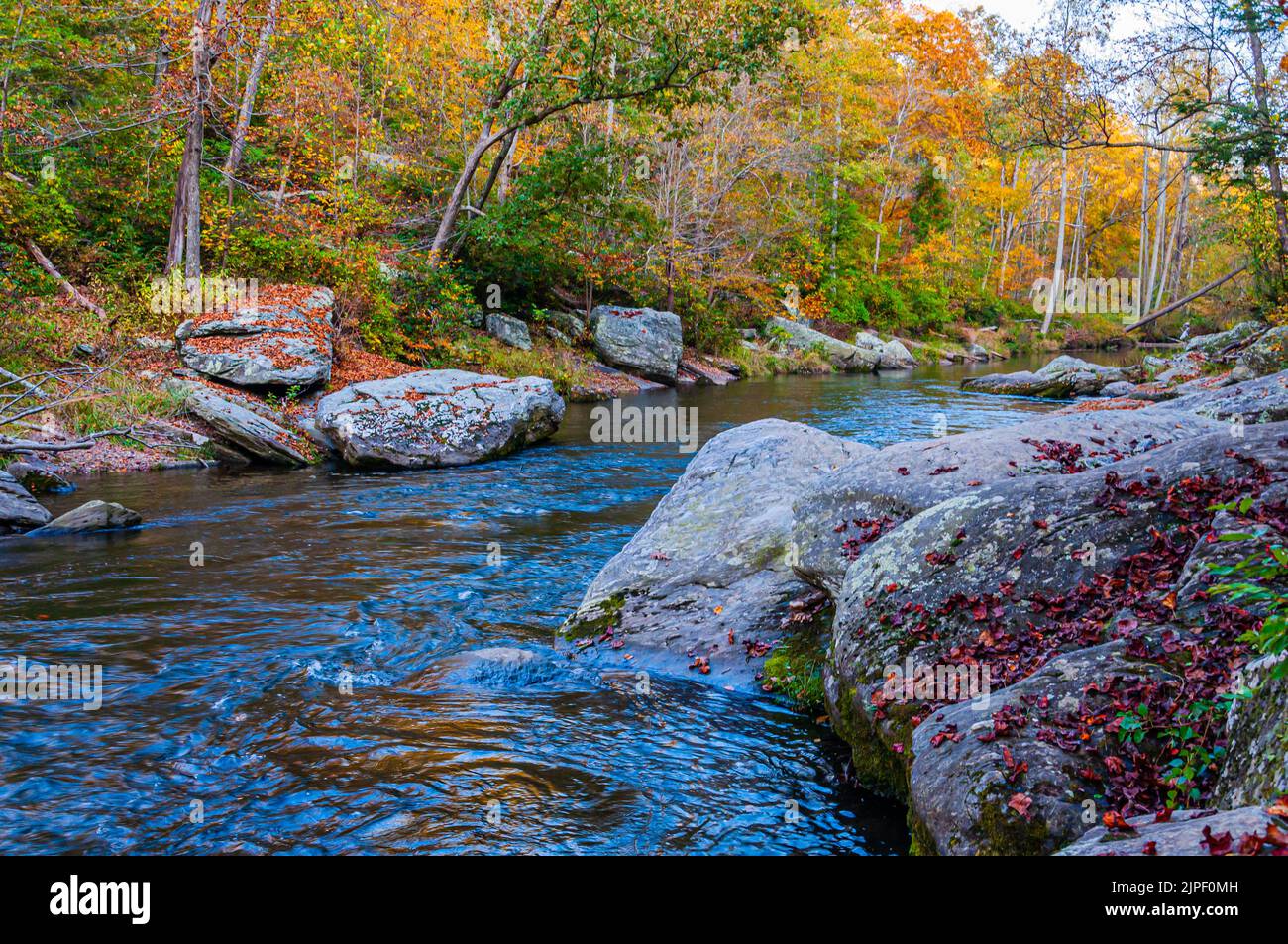 Wandern entlang des Stromes an einem Herbsttag, Prettyboy Reservoir Park, Maryland, USA, Hampstead, Maryland Stockfoto