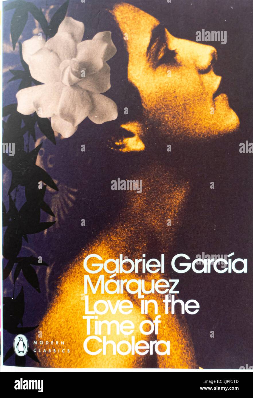 Gabriel Garcia Marquez - Chronik eines vorhergesagte Todes 1981 - Buchcover Stockfoto