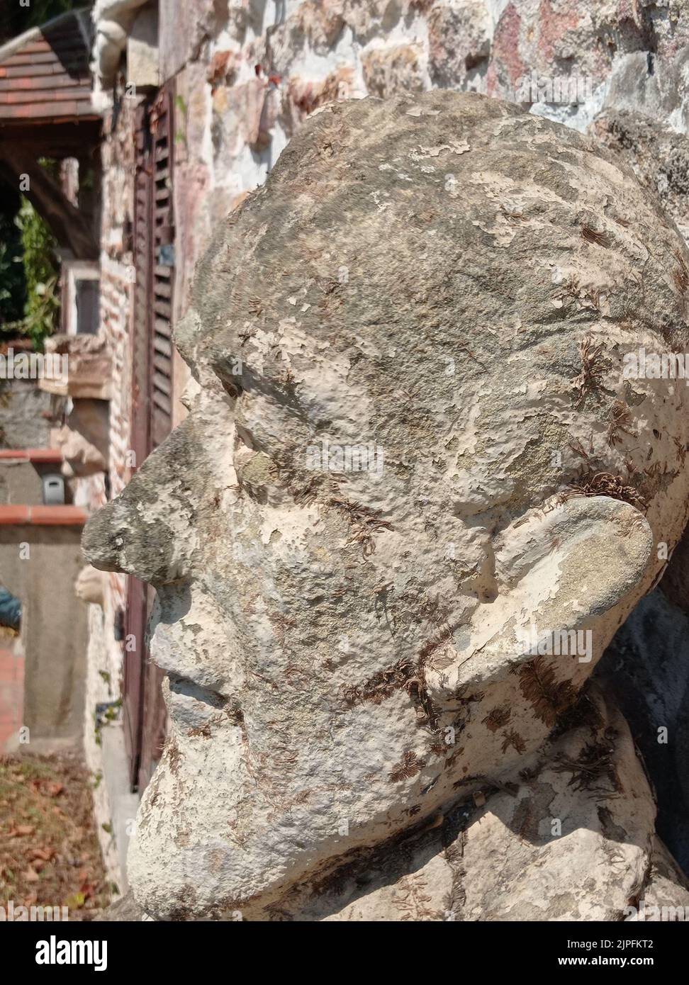Skulptur d'une tête d'homme , Vallon en Sully, Frankreich Stockfoto
