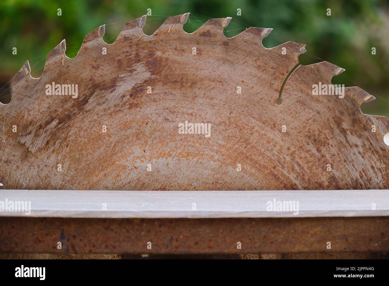 Metallkreissägeblatt mit Zähnen über dem Arbeitstisch verschwommener Hintergrund Stockfoto