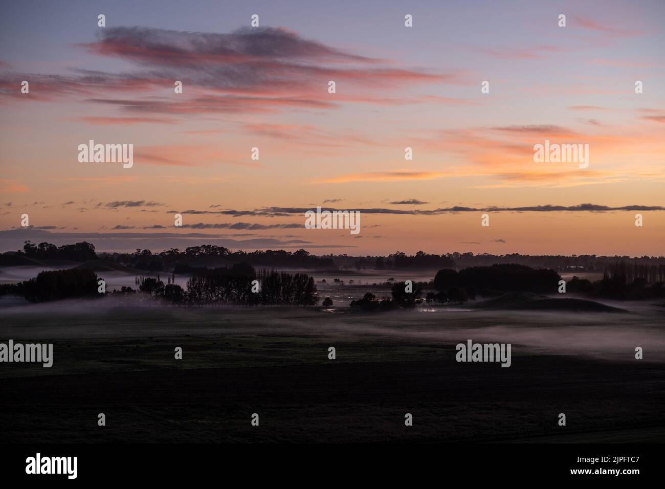 Eine wunderschöne ländliche Morgenszene mit Sonnenaufgang, Nebel zwischen den Bäumen, in der Hawke's Bay von Neuseeland Stockfoto