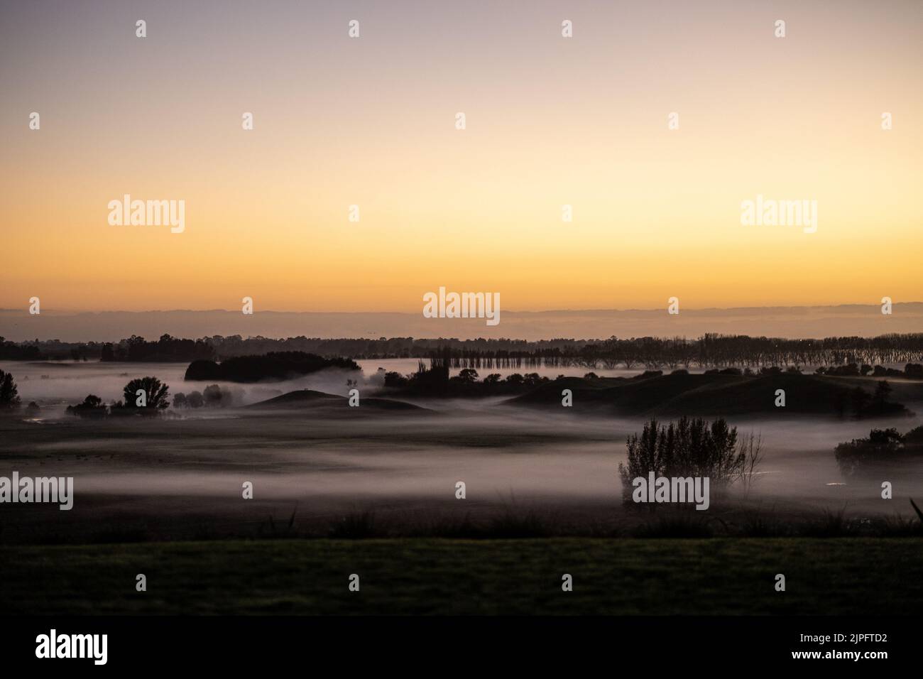 Eine wunderschöne ländliche Morgenszene mit Sonnenaufgang, Nebel zwischen den Bäumen, in der Hawke's Bay von Neuseeland Stockfoto